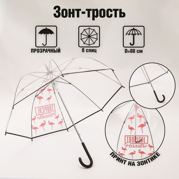 Зонт женский механический, купол Tropical Paradise, 8 спиц, d = 88 см, прозрачный, механический