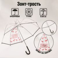Зонт женский механический, купол Tropical Paradise, 8 спиц, d = 88 см, прозрачный, механический