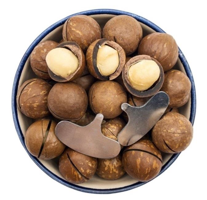 Макадамия 7А в скорлупе