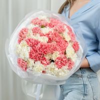51 бело-розовых диантусов