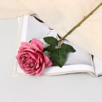 Цветы искусственные «Роза эстетик», 10?49 см, пепельно-розовые