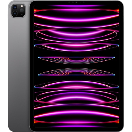 iPad Pro 11" M2 256Gb Wi-Fi Grey