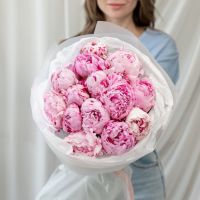 Пионы Сара от 5 шт