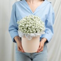 Коробка S гипсофила белая