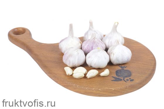 Чеснок Чеснок