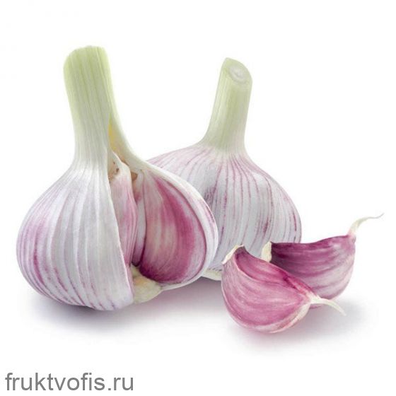 Чеснок Чеснок