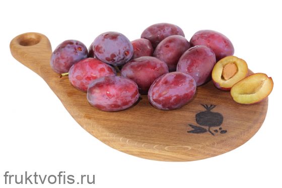 Слива венгерка Слива венгерка
