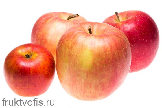 Яблоки Лигол, кг