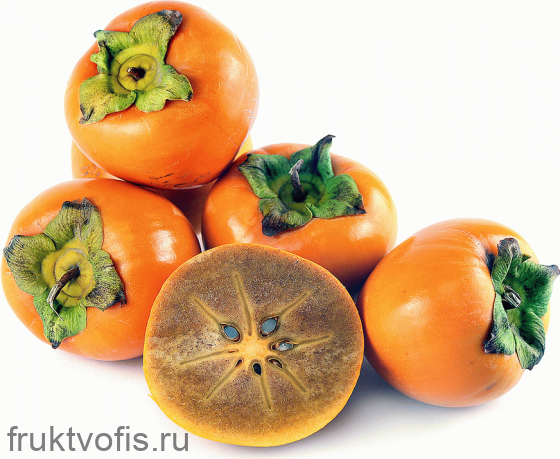 Хурма Королек