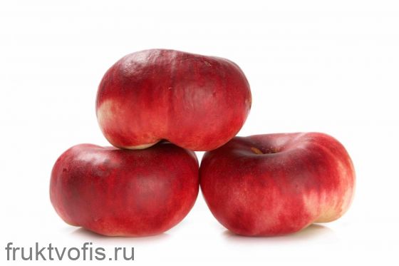 Нектарин плоский