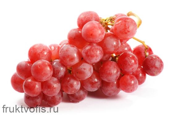 Виноград Ред Глоуб Виноград Ред Глоуб