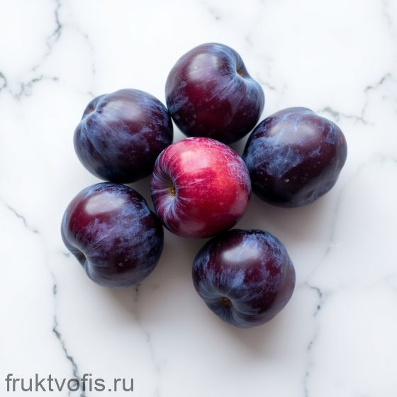 Слива чёрная