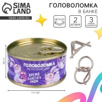 Головоломки «Время блистать умом», в банке