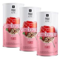 СлимАктив Хрустящие хлопья «Спелая малина» - 3 штуки