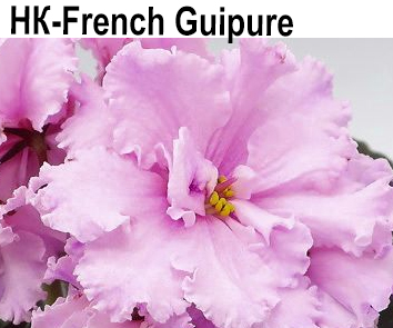 НК-French Guipure (Козак)  НОВИНКА КАТАЛОГА!