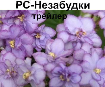 РС-Незабудки (Репкина)  НОВИНКА КАТАЛОГА!