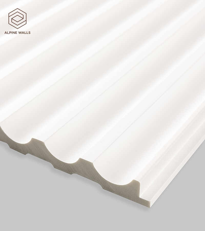 ECO 81031