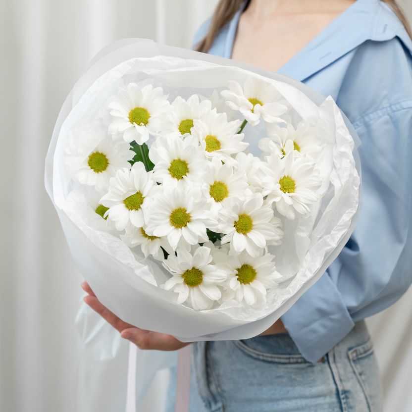 Хризантема от 3 шт