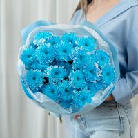 5 синих хризантем