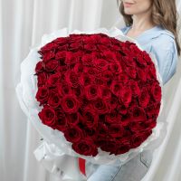101 красная роза 60см (Эквадор)