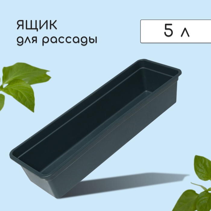 Ящик для рассады, 50?15?10 см, 5 л, пластик, чёрный, «Урожай-5»
