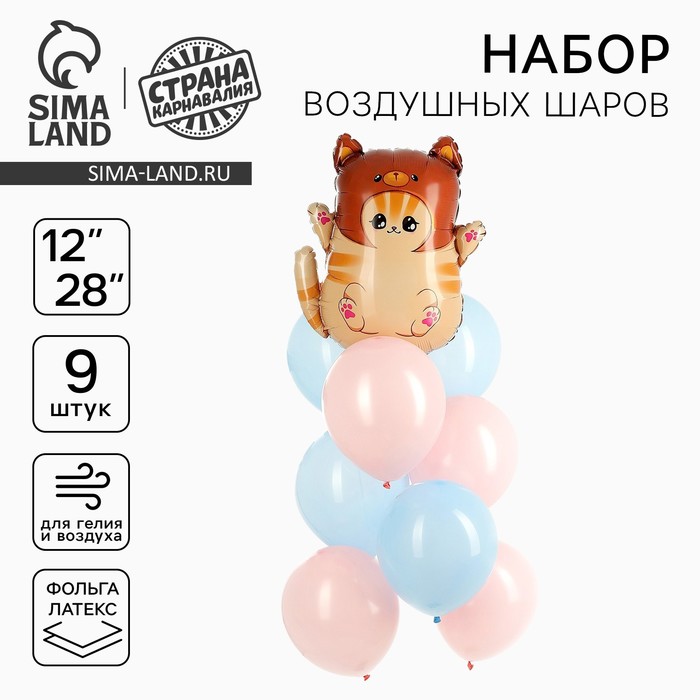 Воздушные шары, букет «Котик в шапке», набор 9 шт.
