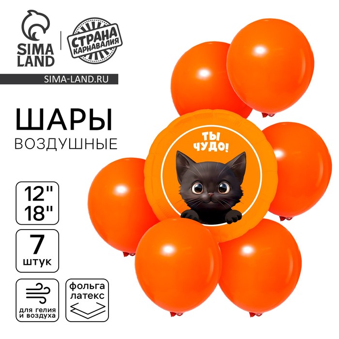 Воздушные шары, букет «Котик. Ты чудо», набор 7 шт.