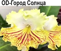 OD-Город Солнца