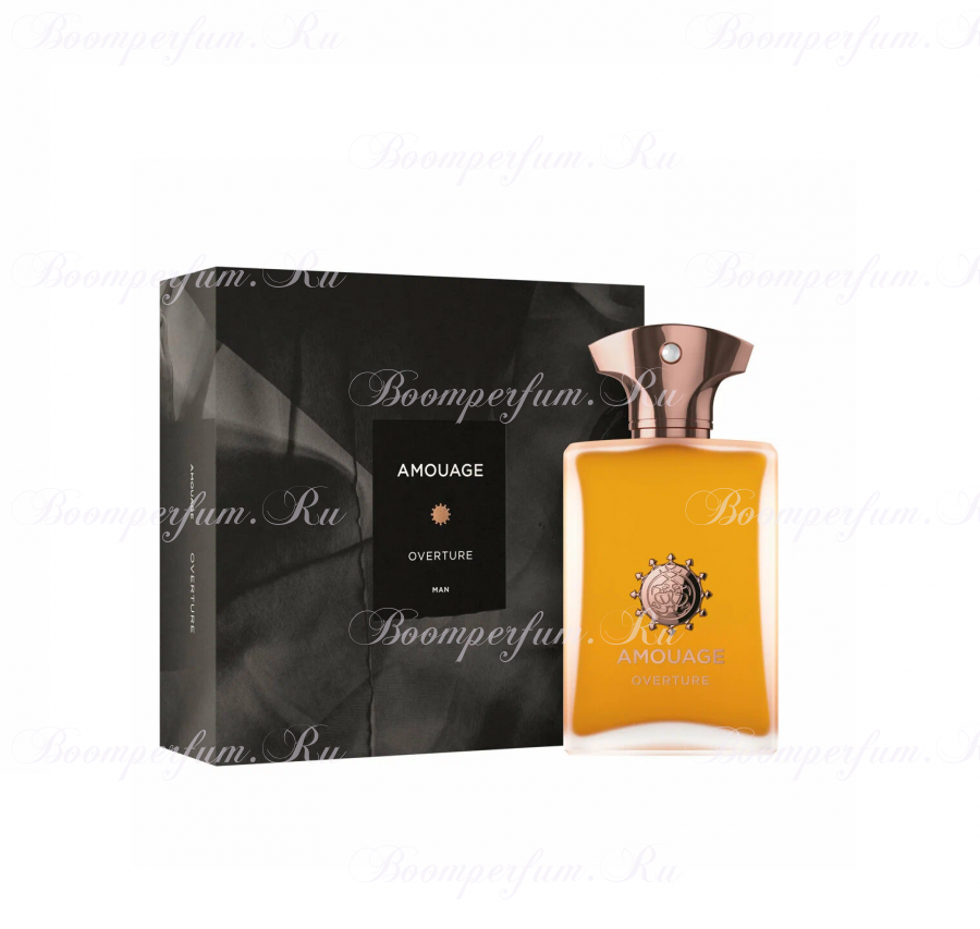 Amouage Overture Man