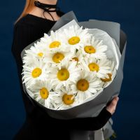 15 ромашек