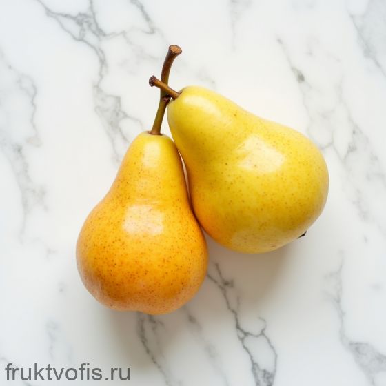 Груша Санта Мария