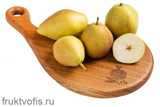 Груша Триумф Груша Триумф