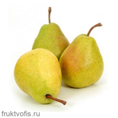 Груша Триумф Груша Триумф