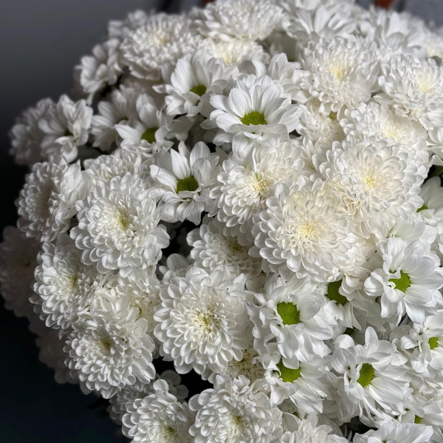 25 белых хризантем микс