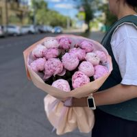 Акция! пионы розовые (от 15 шт)