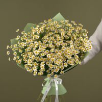Ромашки - ромашульки