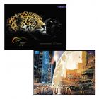 Альбом для рисования А4 40л 49044