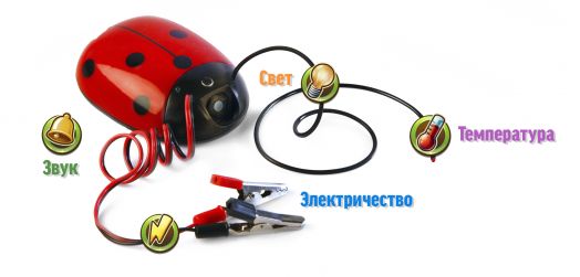 Комплект лабораторного оборудования по предмету «Окружающий мир»