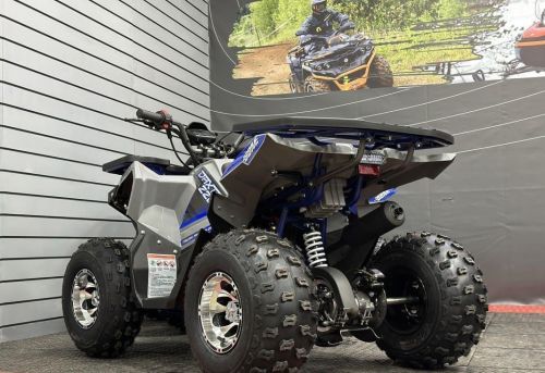Квадроцикл GBM Daxter 220 Premium