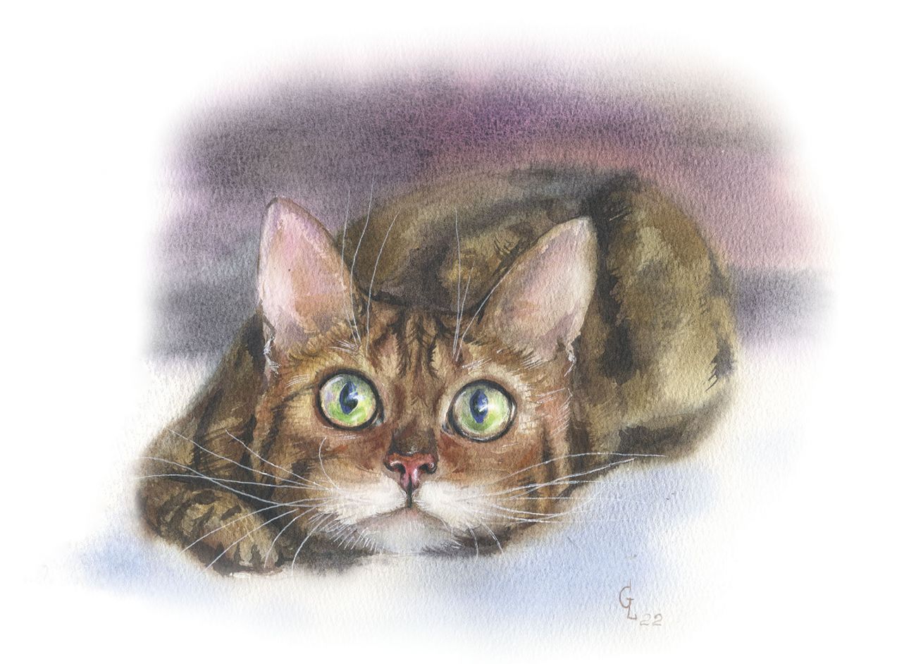 Кошачьи истории 7