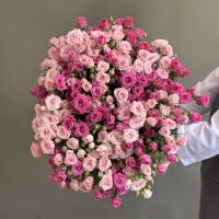 Кустовая роза микс от 7шт