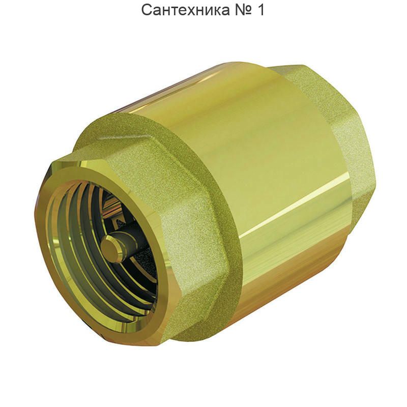 Клапан обратный с металлическим затвором 1" ELSEN