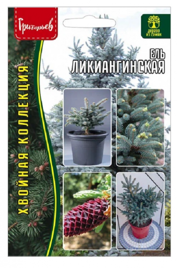 Ель ликиангинская