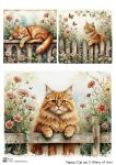 Cat set 3