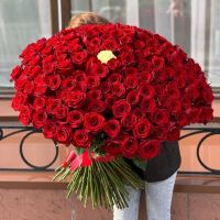 151 роза 100см 151 роза 100см