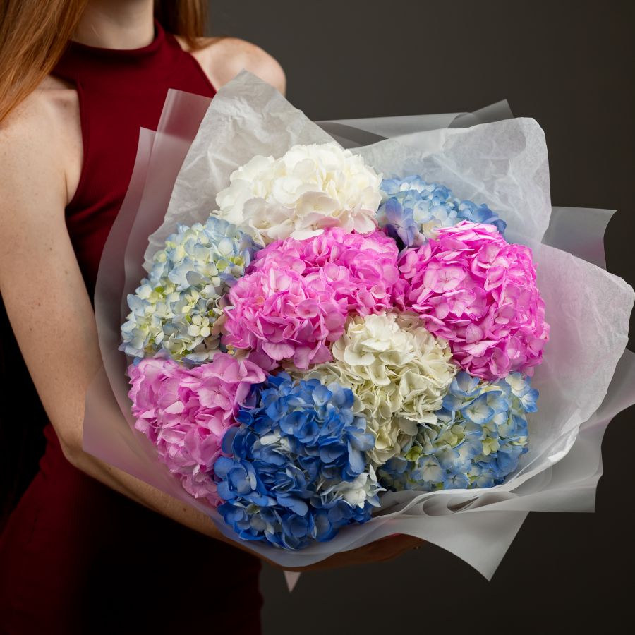 Гортензия 9 шт (микс)