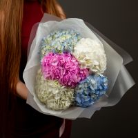 Гортензия 5 шт (микс)