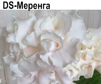DS-Меренга (Диметрис)  НОВИНКА КАТАЛОГА!