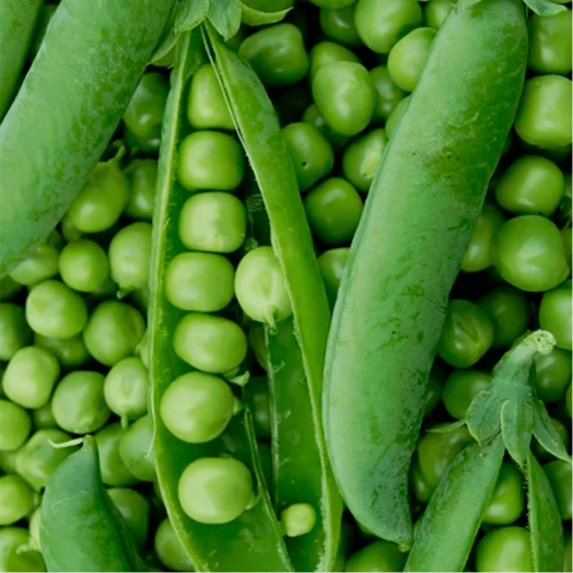 Горох Детская радость, 25г семян