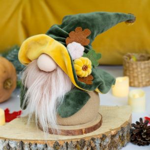 Набор для Осенний Гном в зеленом